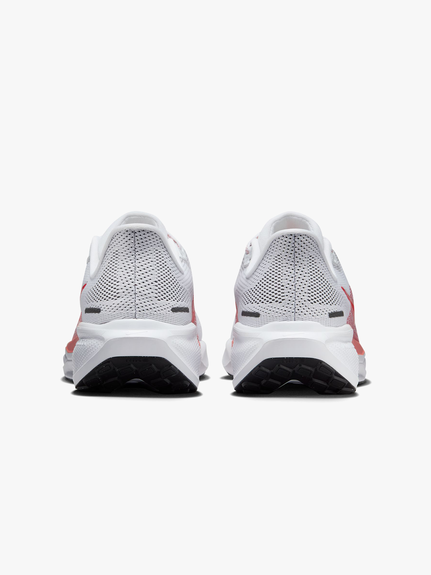 Pegasus 41