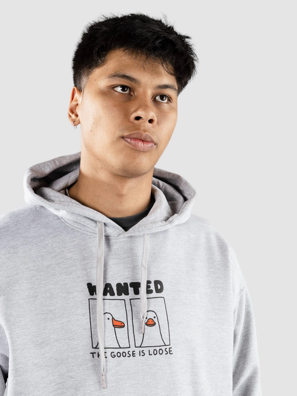 A.LAB Goose Is Loose Hoodie sport grey