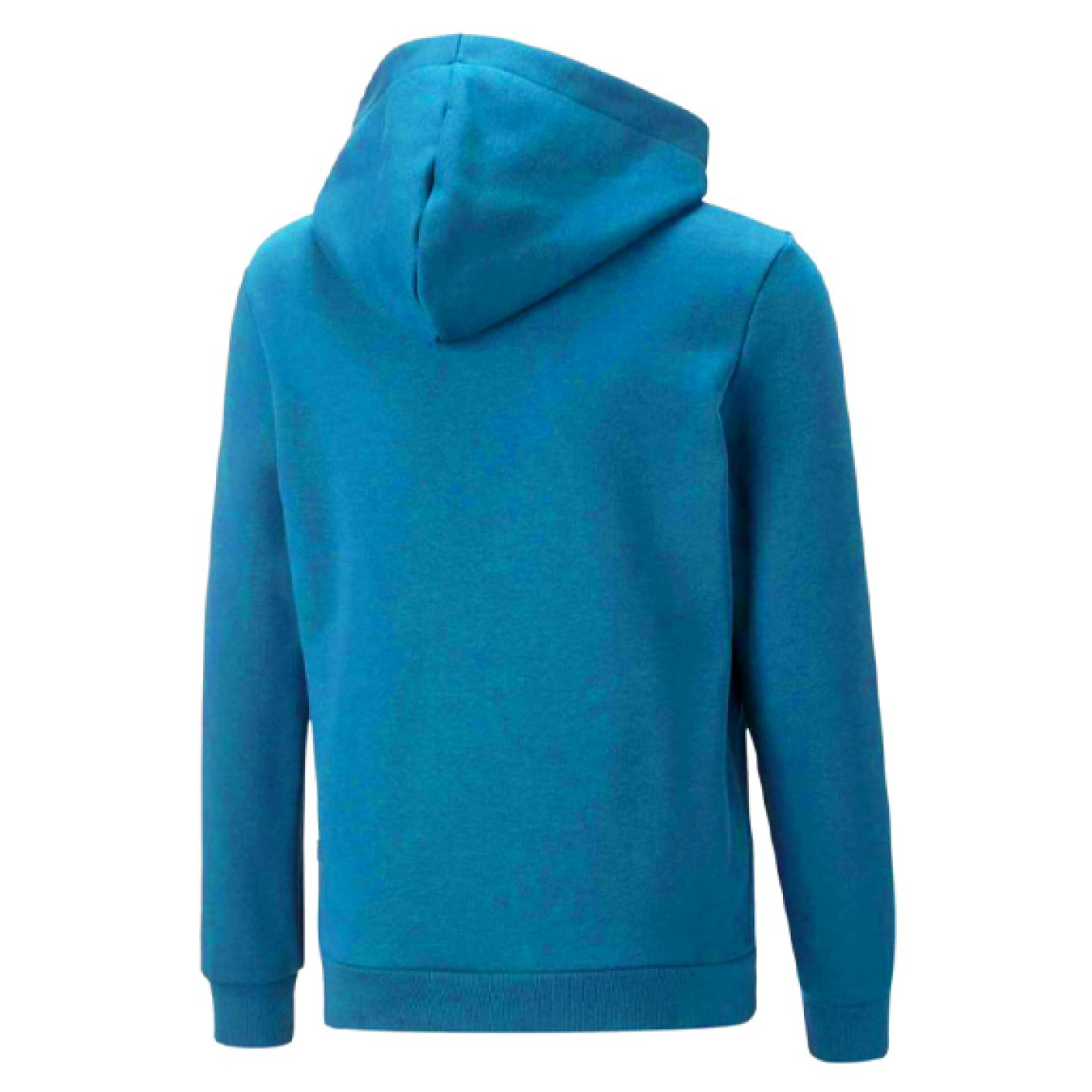 PUMA Essentials+ 2 College Big Logo Fleece Hoodie Kids Lichtblauw Zwart Wit