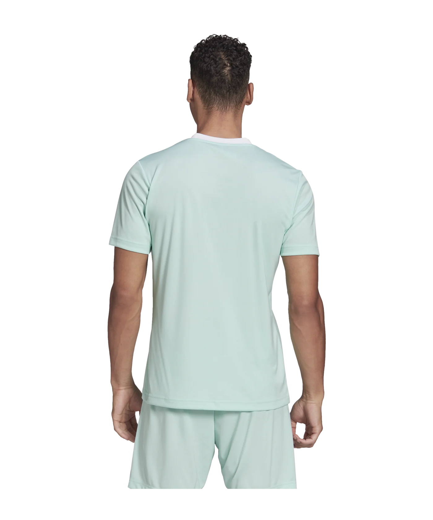 adidas Entrada 22 Trikot Türkis Weiss