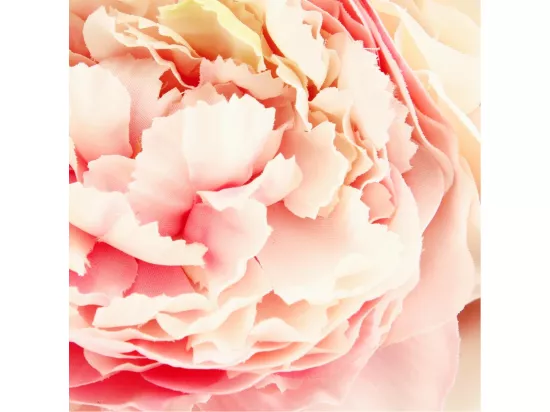 Bouquet de Fleurs 