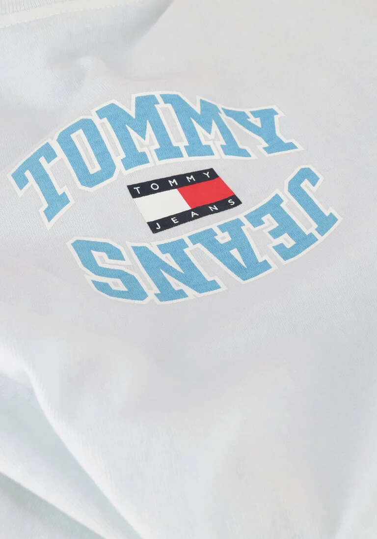 TOMMY JEANS lichtblauwe tommy jeans t-shirt tjm clsc arched logo tee