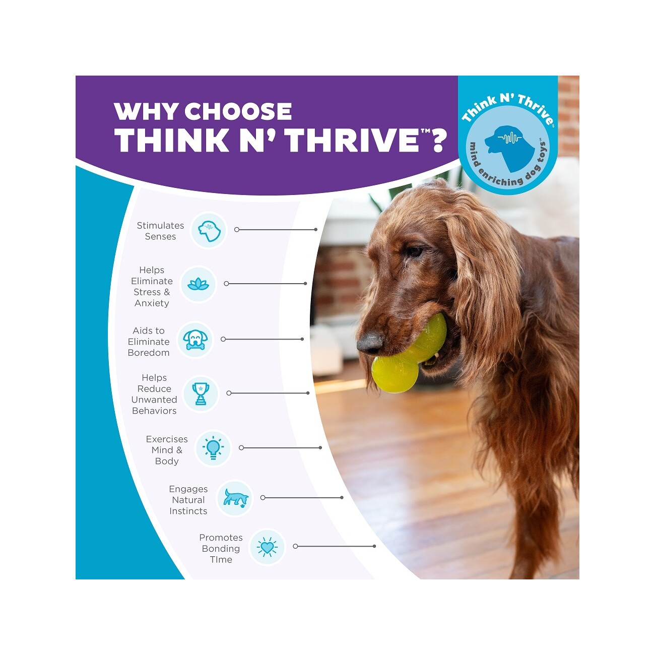 Planet Dog Double Tuff Outward Hound Hundespielzeug