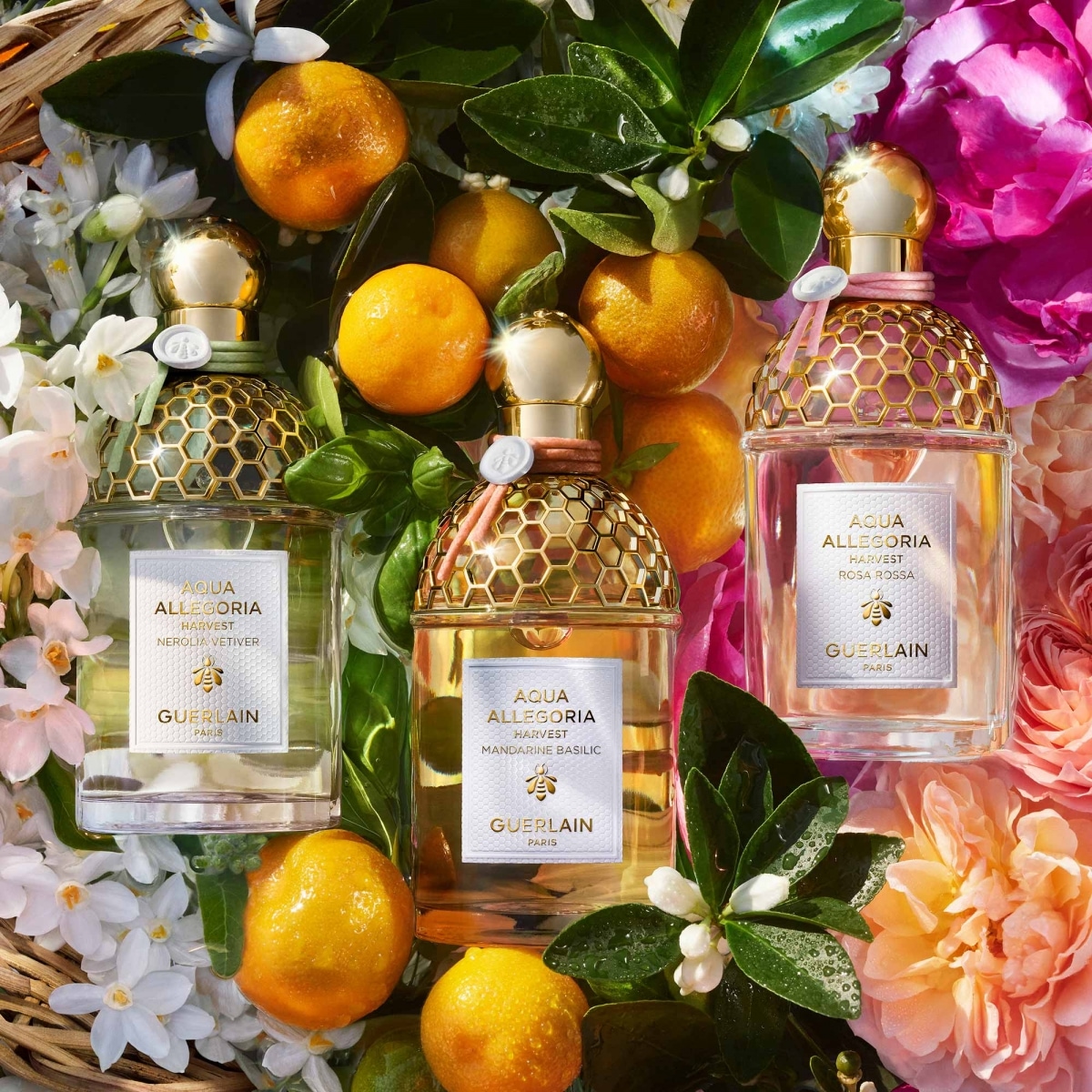 GUERLAIN Aqua Allegoria Harvest Nerolia Vetiver Eau de Toilette