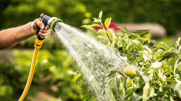 Bosch - GardenPump 18V-2000 (batteri og oplader inkluderet)