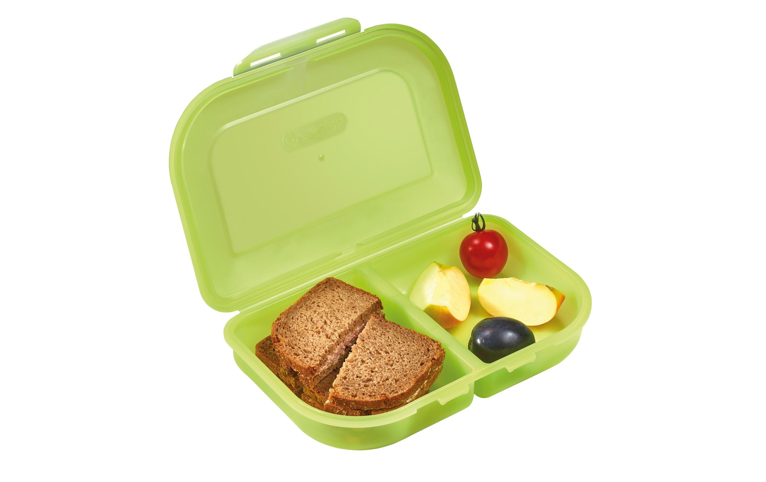 Lunchbox 23 x 15.5 x 4 cm TürkisFunktionale Brotdose für unterwegs