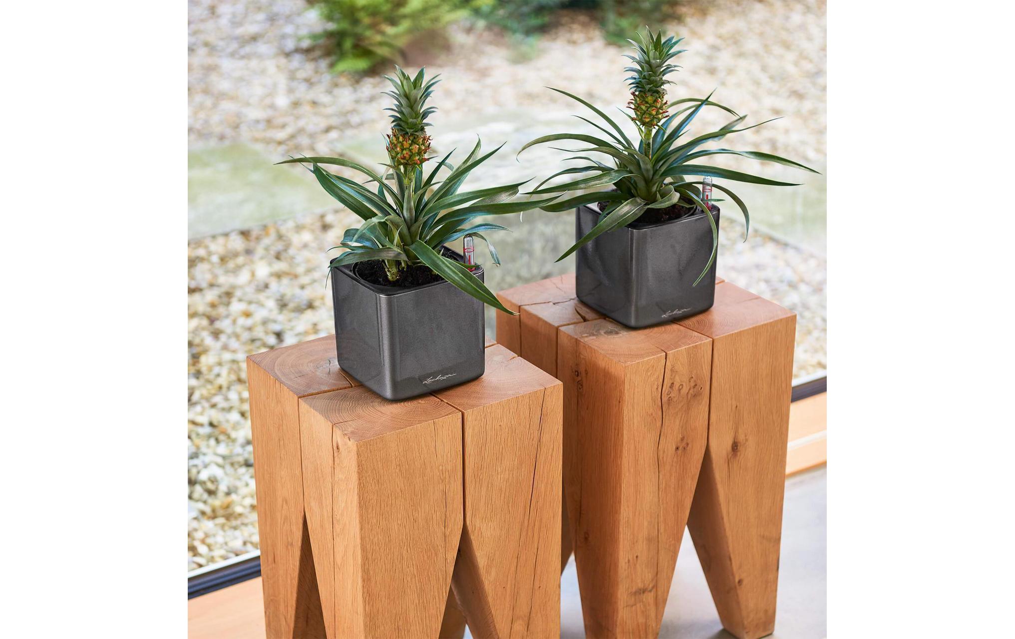 Pflanzentopf CUBE Glossy TitaniumTopf