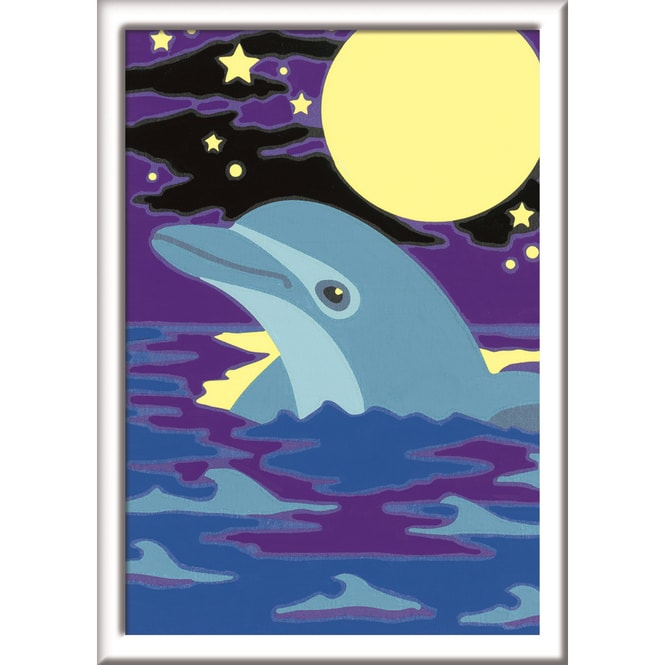 Malen nach Zahlen - Kleiner Delfin