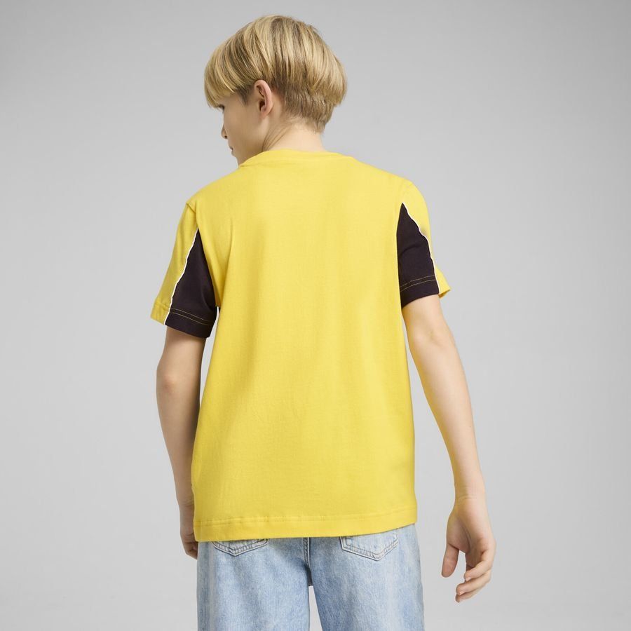 Puma Borussia Dortmund ftblARCHIVE T-Shirt
