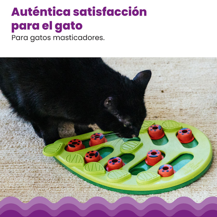 Brinquedo de Inteligência para Gatos Outward Hound Catstages Puzzle & Play Buggin' Out