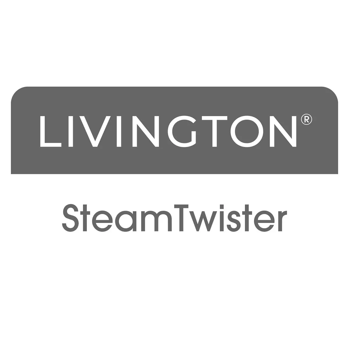 Dampfreiniger Livington Steam Twister weiss