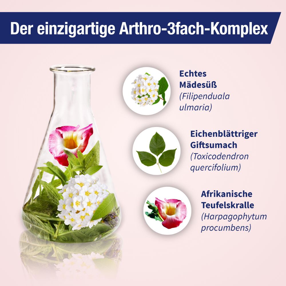GELENCIUM® Arthro - pflanzliche Tropfen bei Arthrose