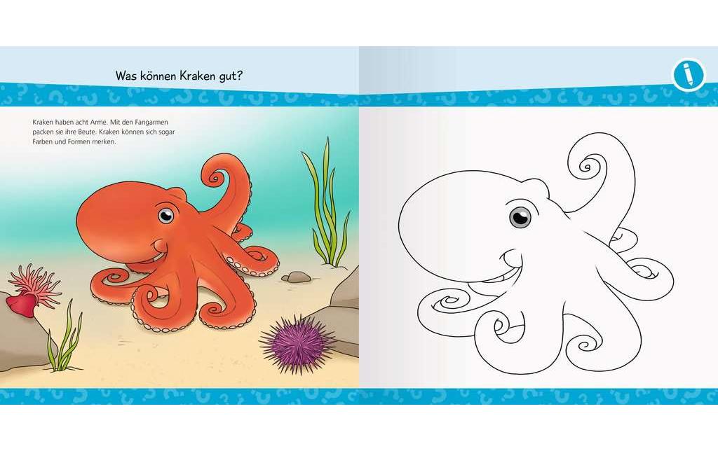 Kinder-Sachbuch WWW junior AKTIV: Am MeerErstes Ausmalen, Rätseln, Schneiden und Kleben