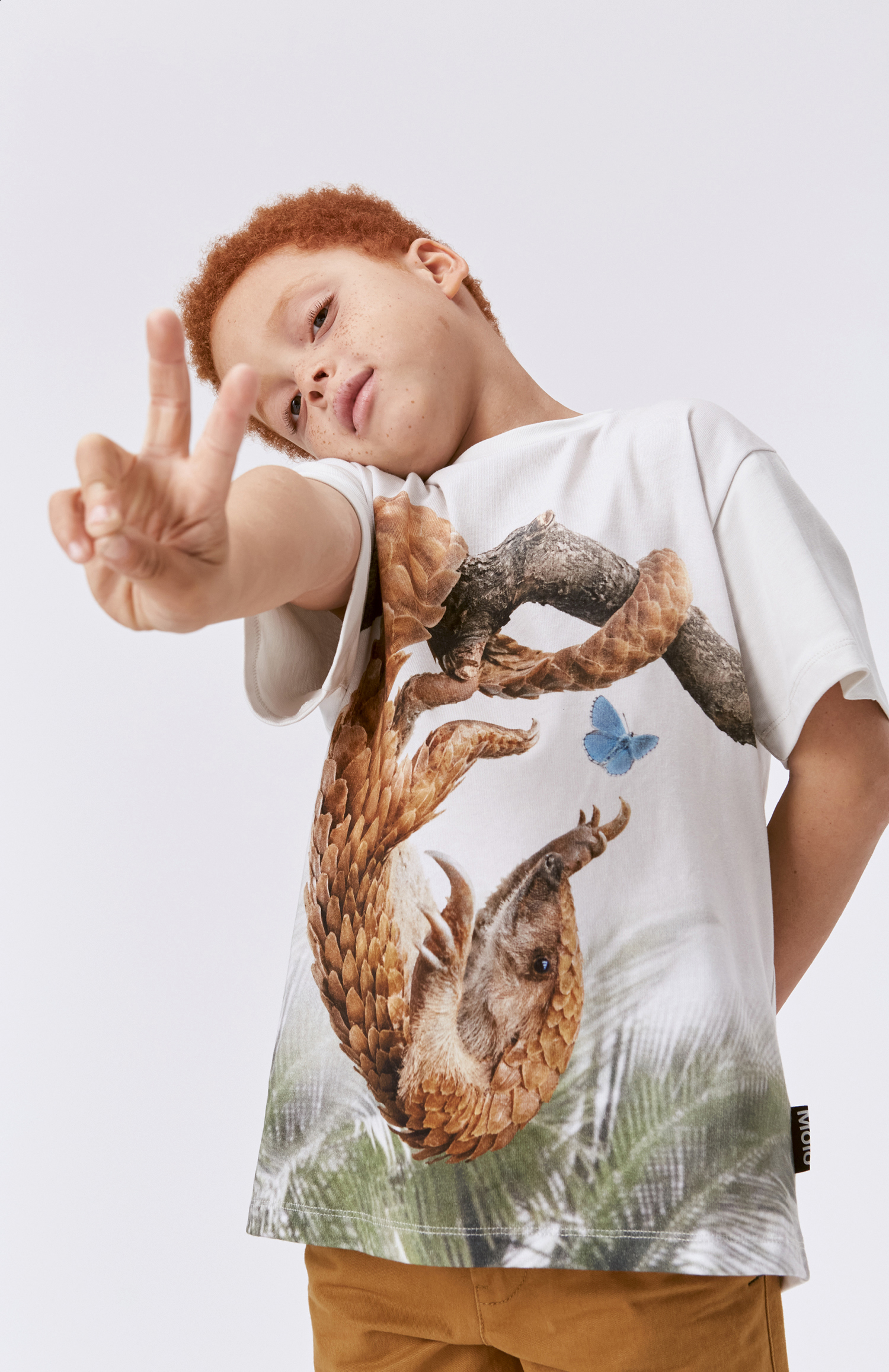 Riley - Pangolin