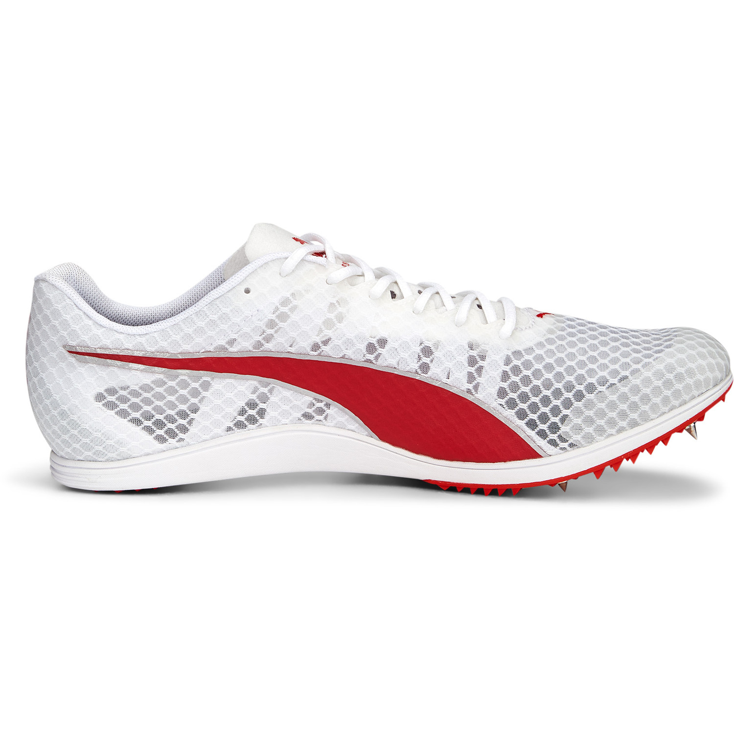 PUMA evoSPEED Distance 11 Heren