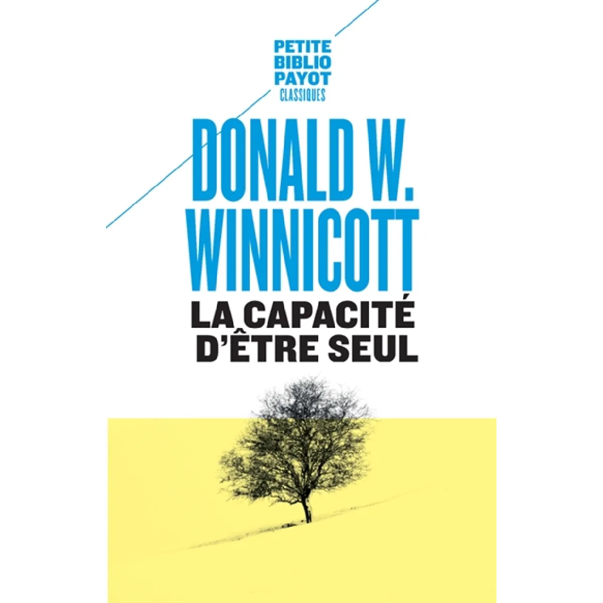 La capacité d'être seul · Occasion