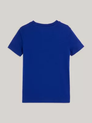 Camiseta Global Stripe