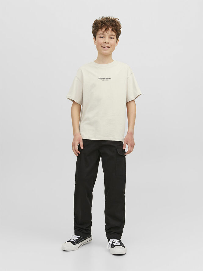 Jack & Jones JORVESTERBRO TEE SS CREW NECK NOOS Moonbeam/loose