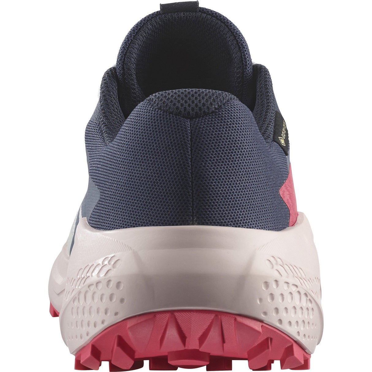 Salomon<br>Alphaglide GTX W