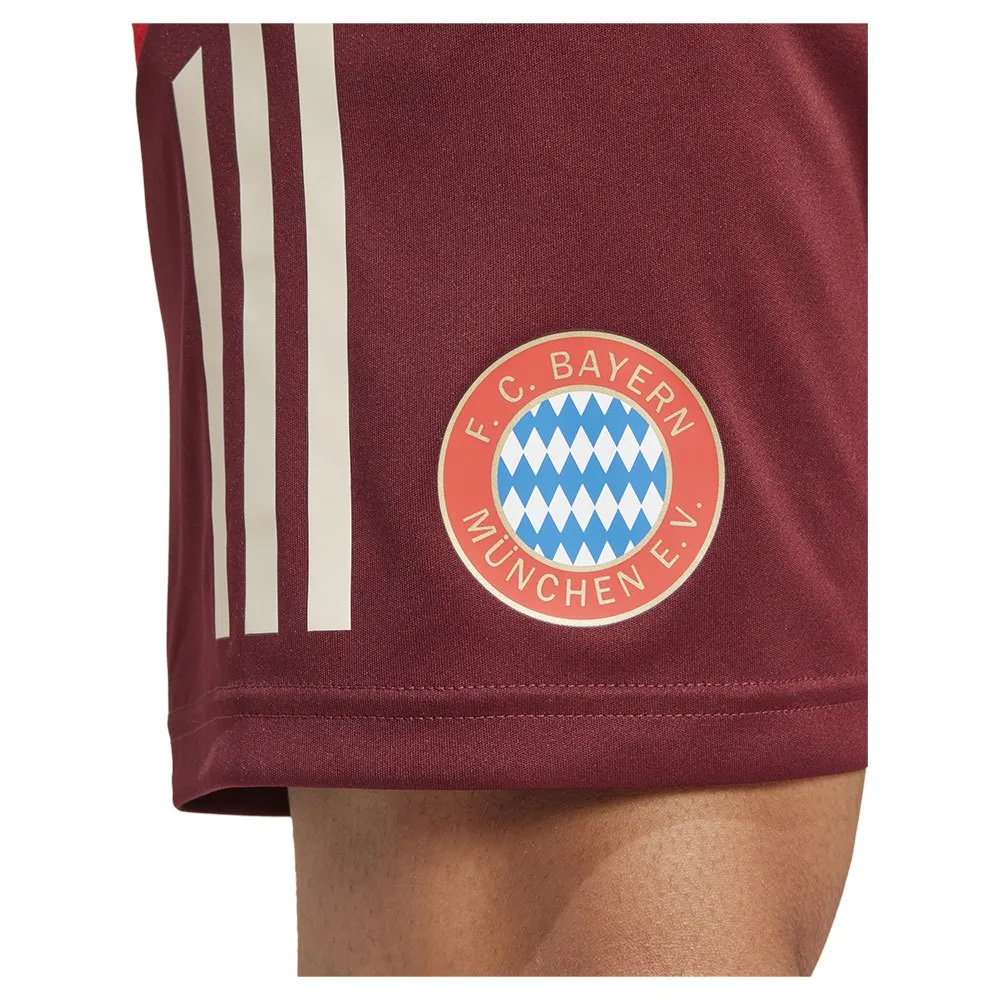 adidas FC Bayern Munich 24/25 Tiro Training kurze hose