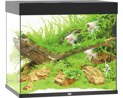 JUWEL Lido 200 aquarium met LED-verlichting, pomp, filter, verwarming (zonder kast), zwart