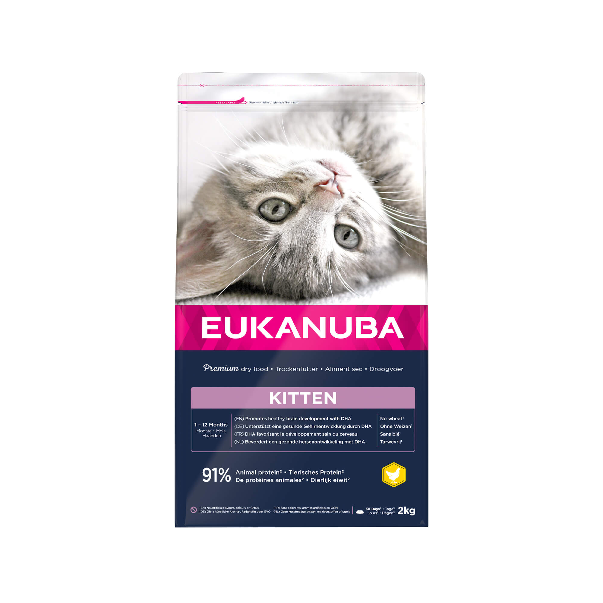 Eukanuba Kitten Healthy Start