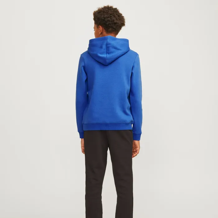 Jack & Jones Mountain Logo Hoodie Junior