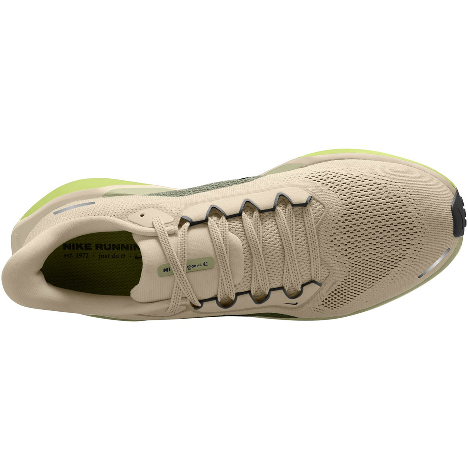 Nike Pegasus 41 Heren