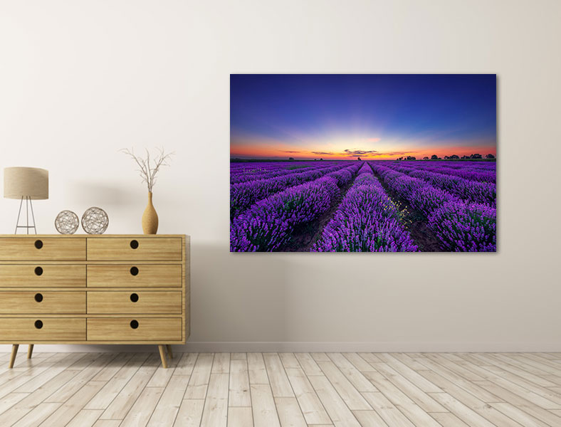 Canvas schilderij Lavendelvelden 150 x 100 cm