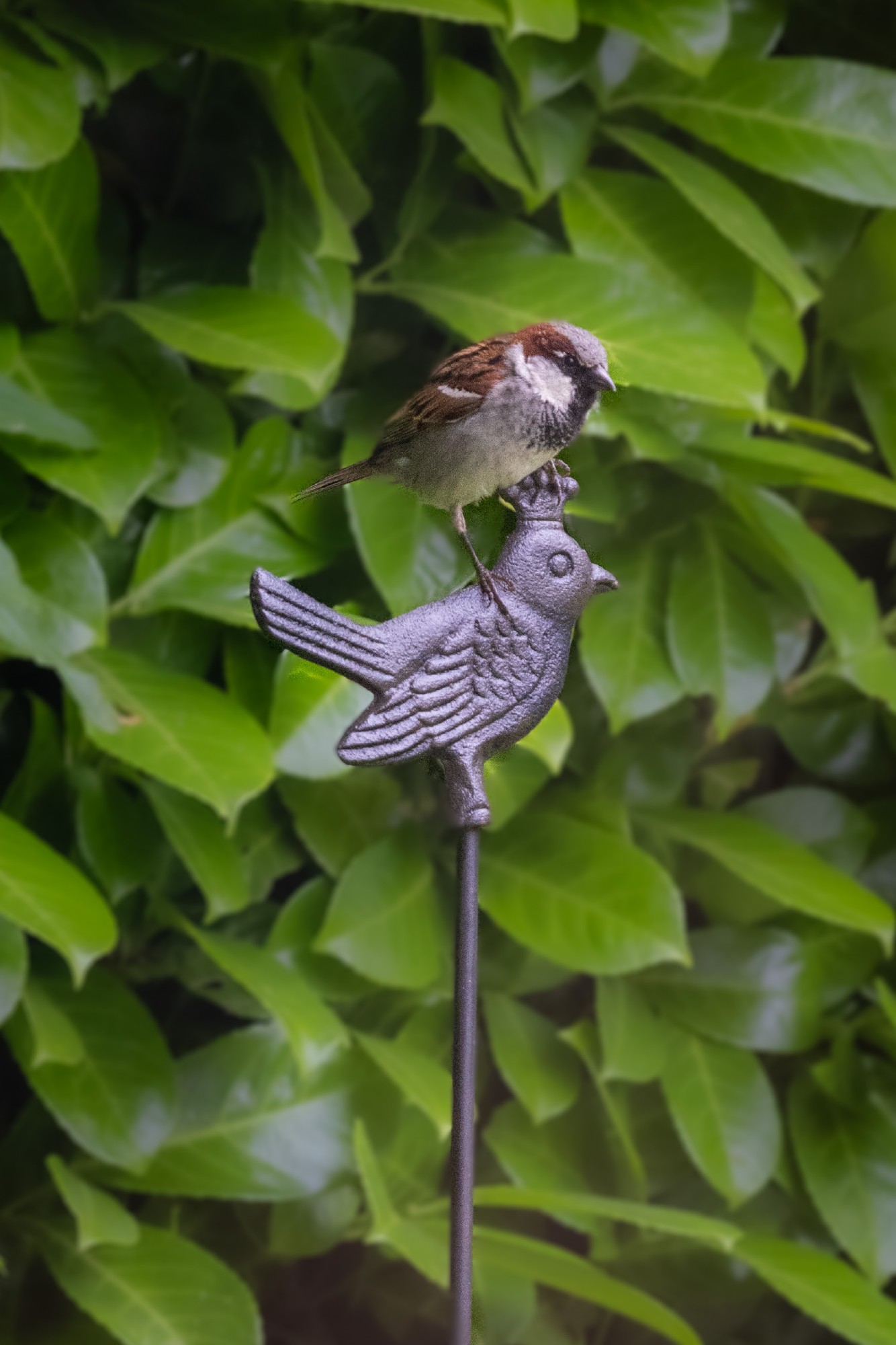 Gartenstecker 