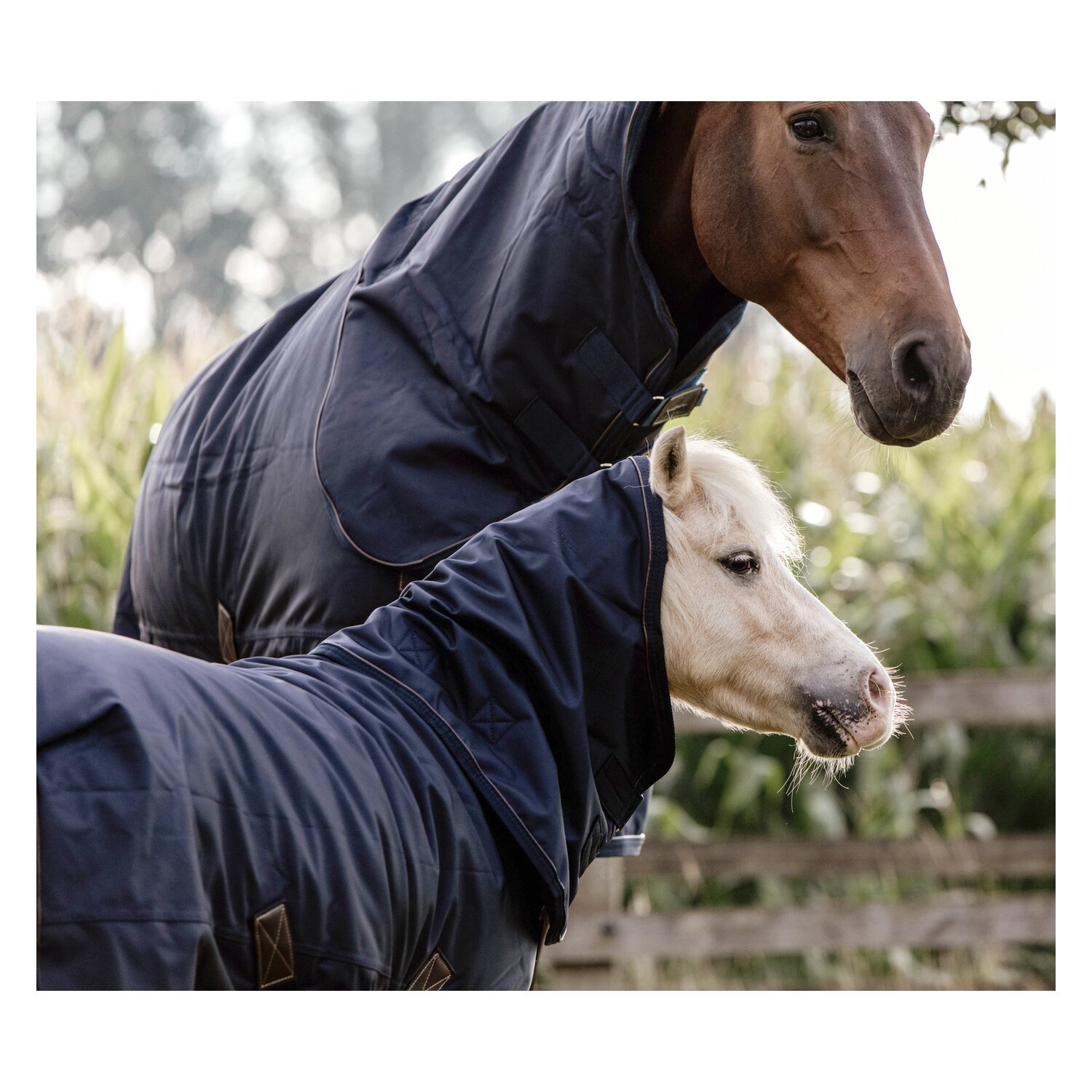 KENTUCKY Weidedecke All Weather Pro - navy