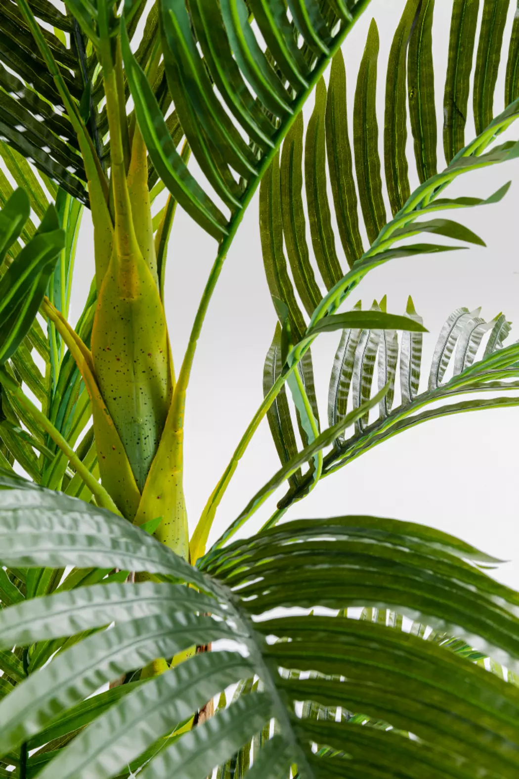 Deko Pflanze 51789 Palm Tree