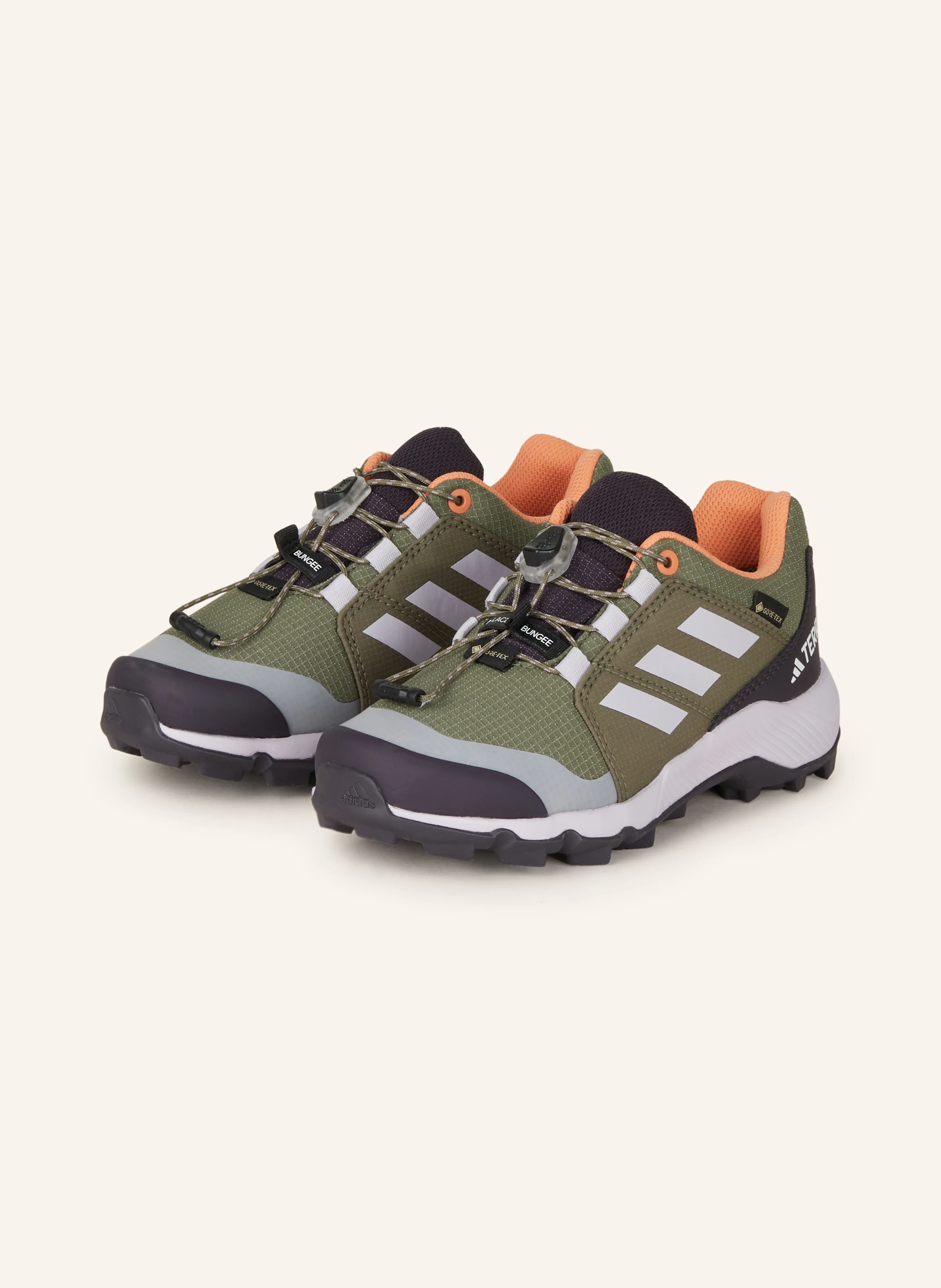 adidas TERREX Wanderschuhe TERREX GTX