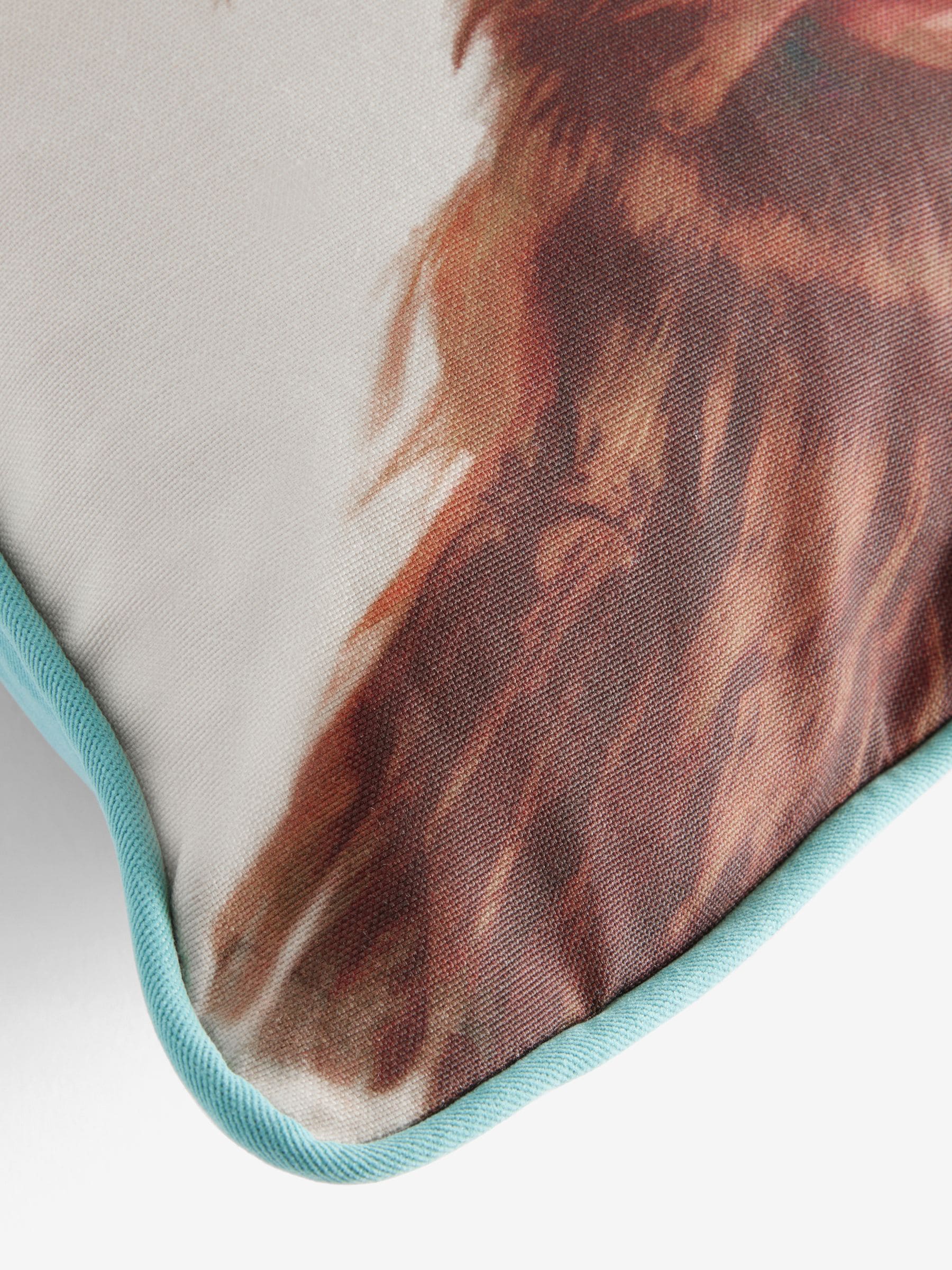Hamish the Highland Cow Selfie Cushion