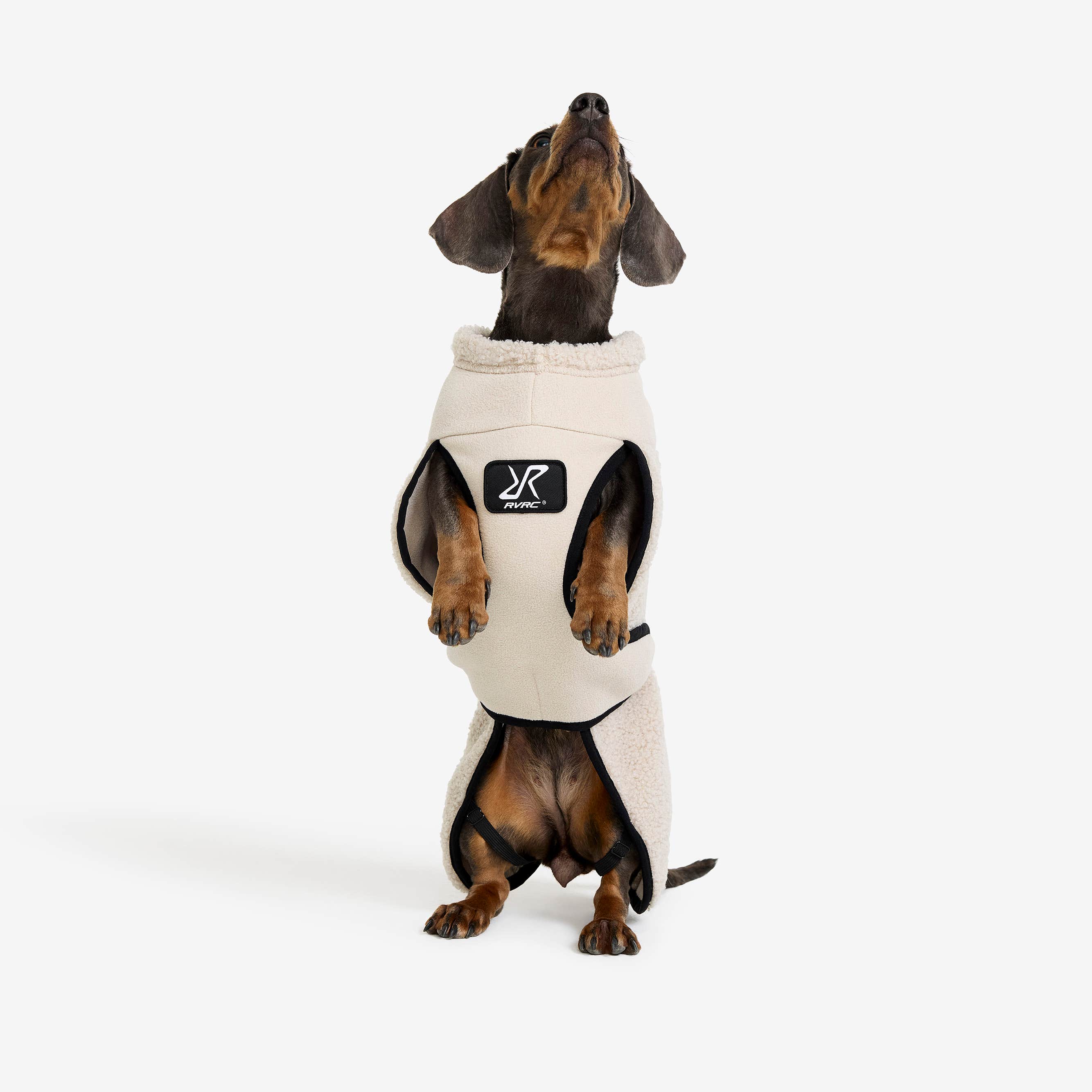 Bigfoot Dog Jacket Hund Peyote