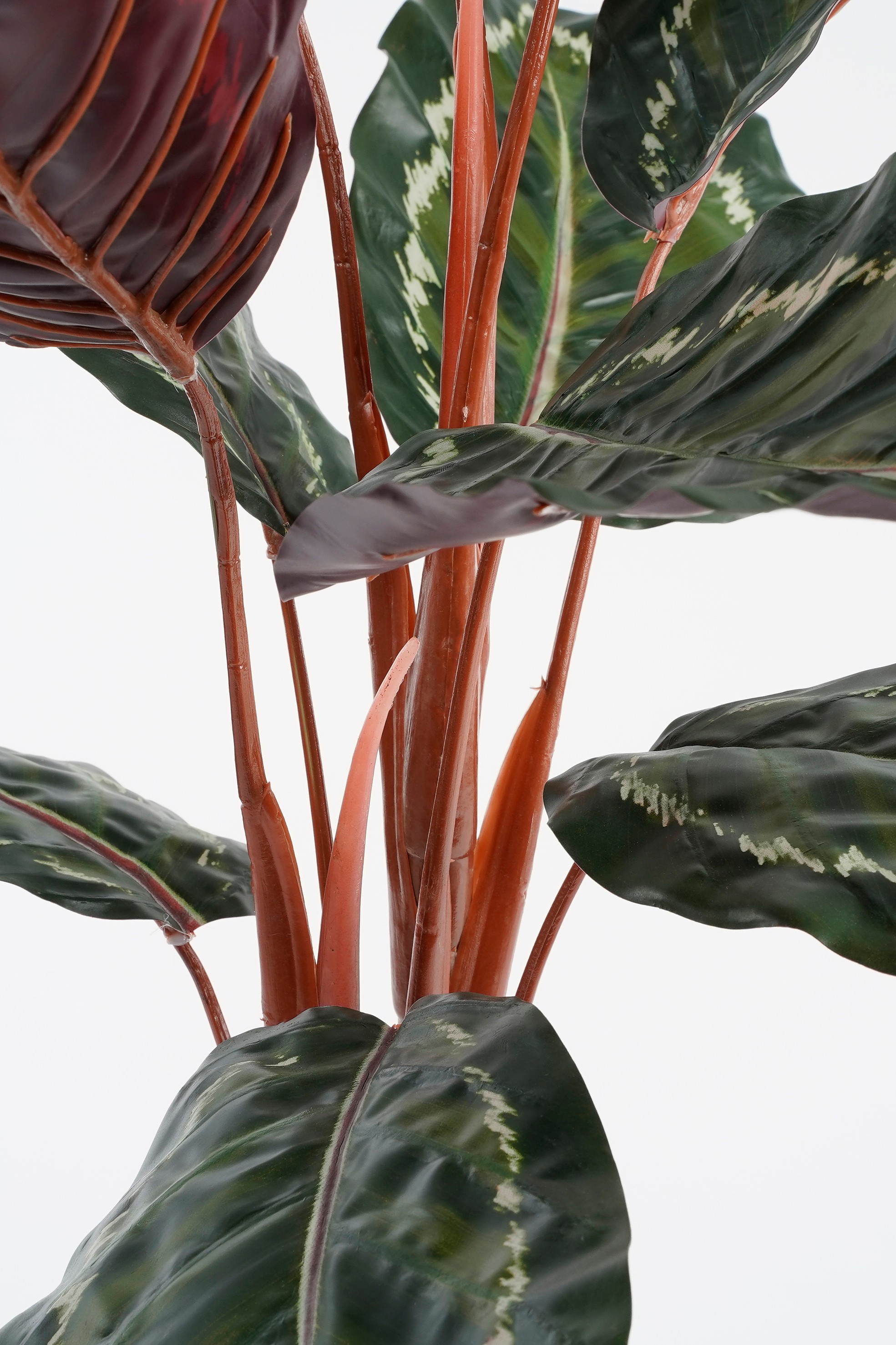 Calathea roseopicta artificielle en pot vert h90