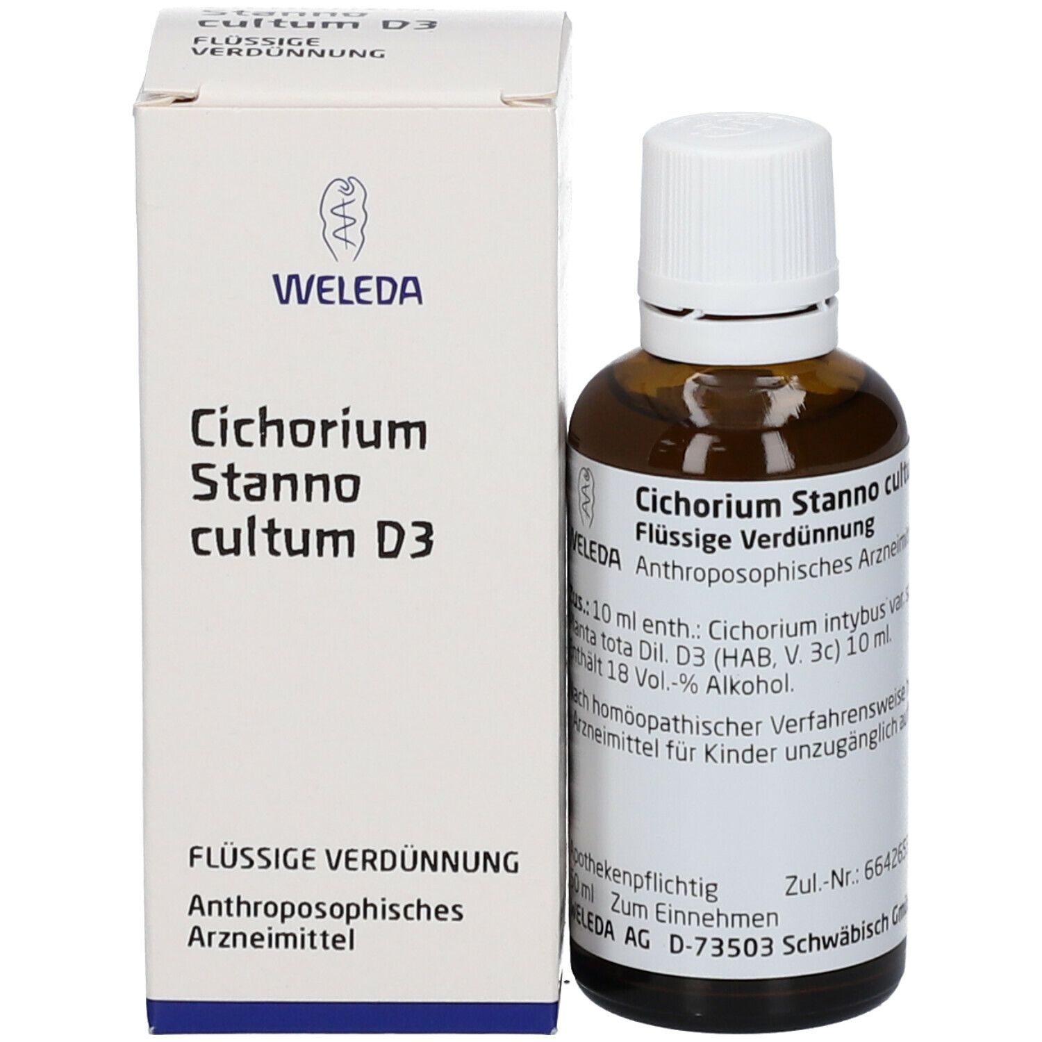 Cichorium Stanno Cultum D 3 Dilution