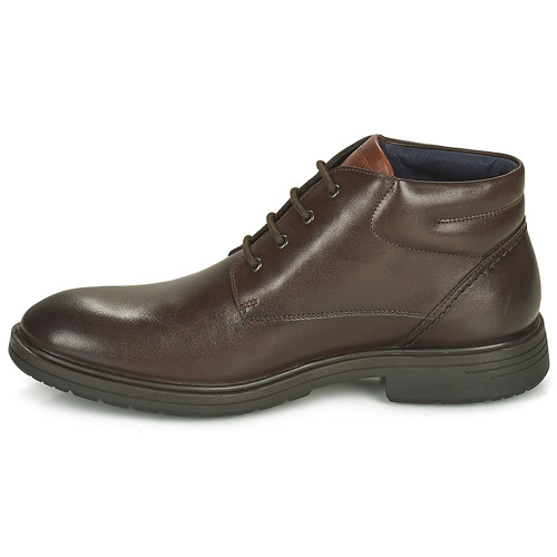 Fluchos - MAGNUS - Marron