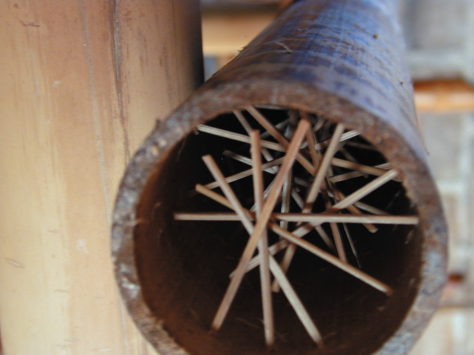 Balinesischer Rainstick, natur, L 40 cm, Ø 6 cm günstig bestellen