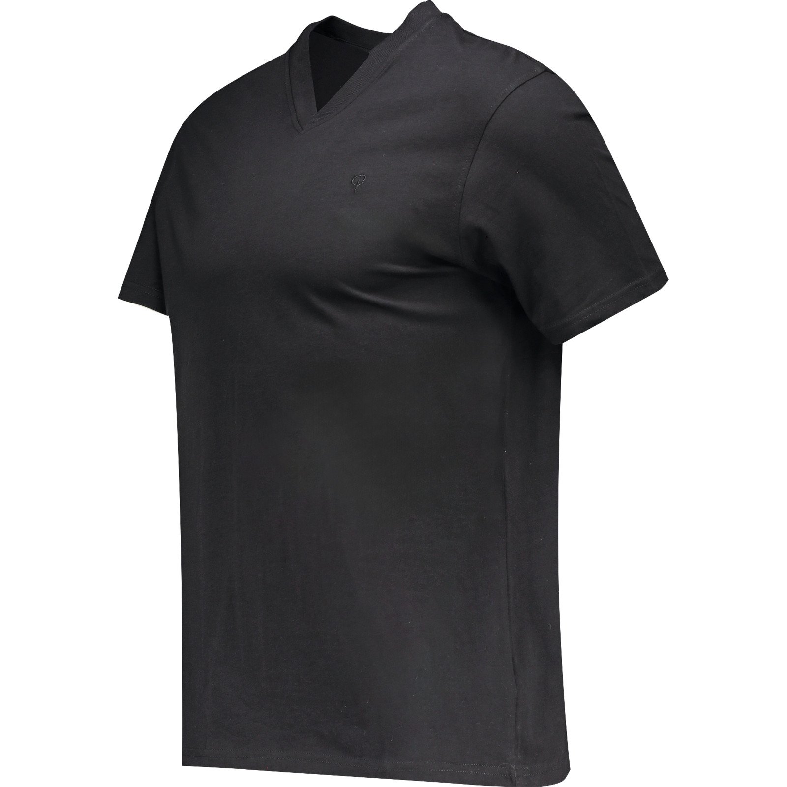 Herren-T-Shirt Bio mit V-Ausschnitt, schwarz