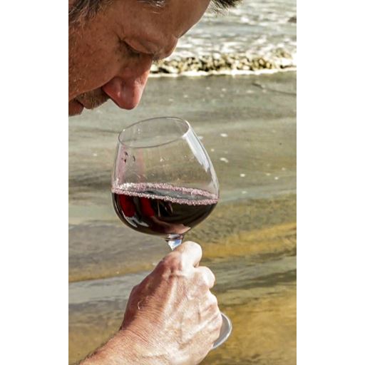 Endeavour Red Sand 4-pak Rødvinsglas, Klar, 58 cl