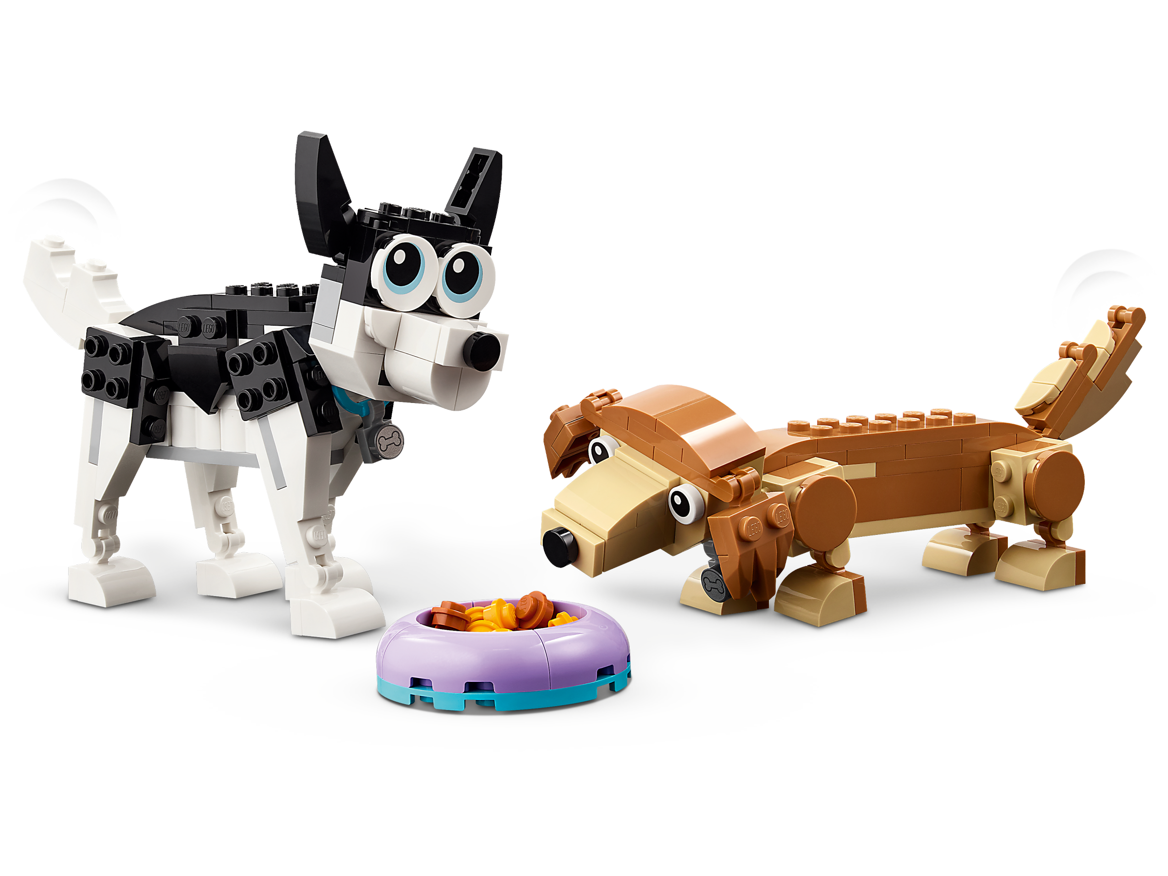 Cães adoráveis 31137