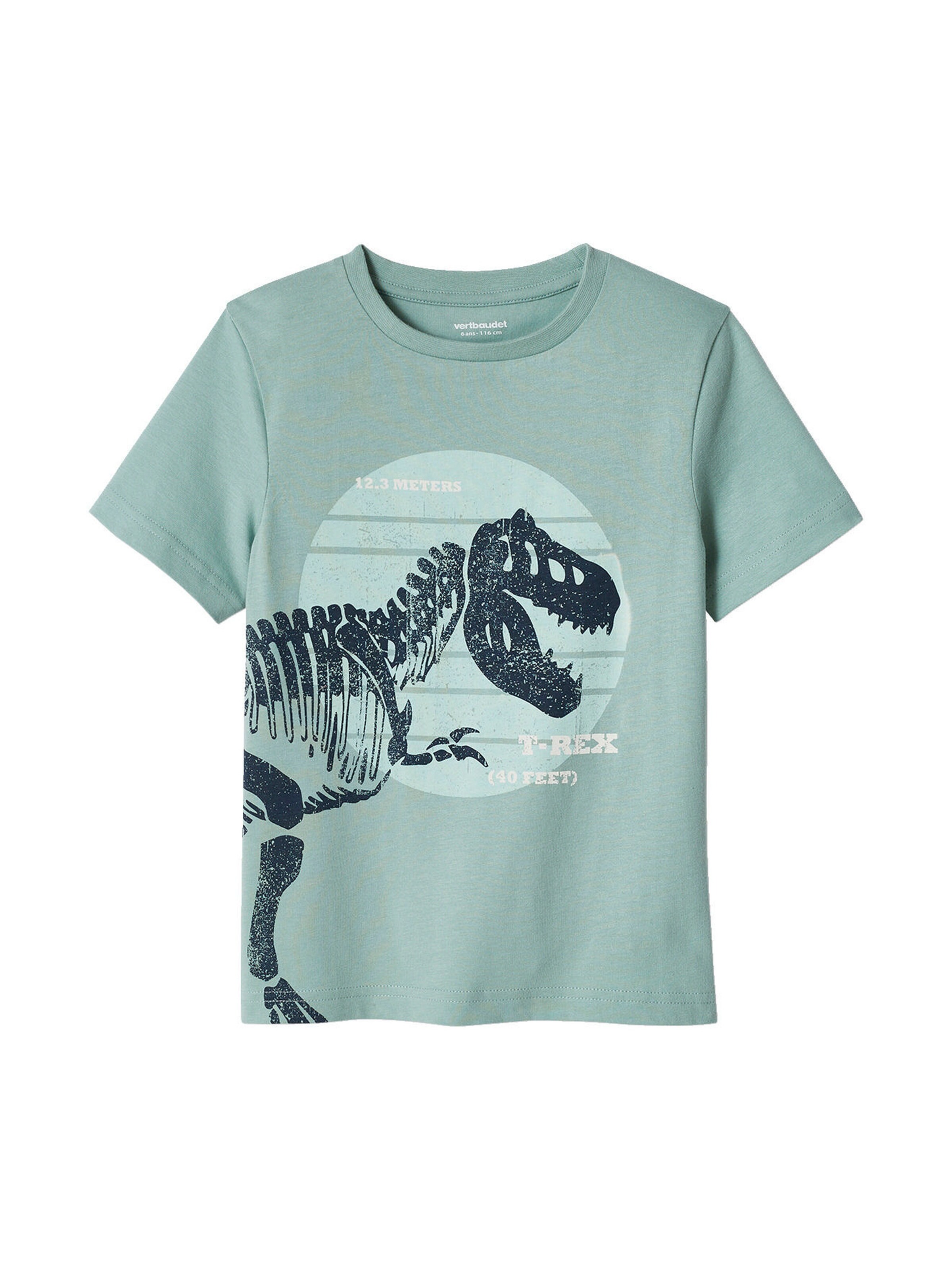 Vertbaudet Jungen T-Shirt, Dinosaurier mintgrün