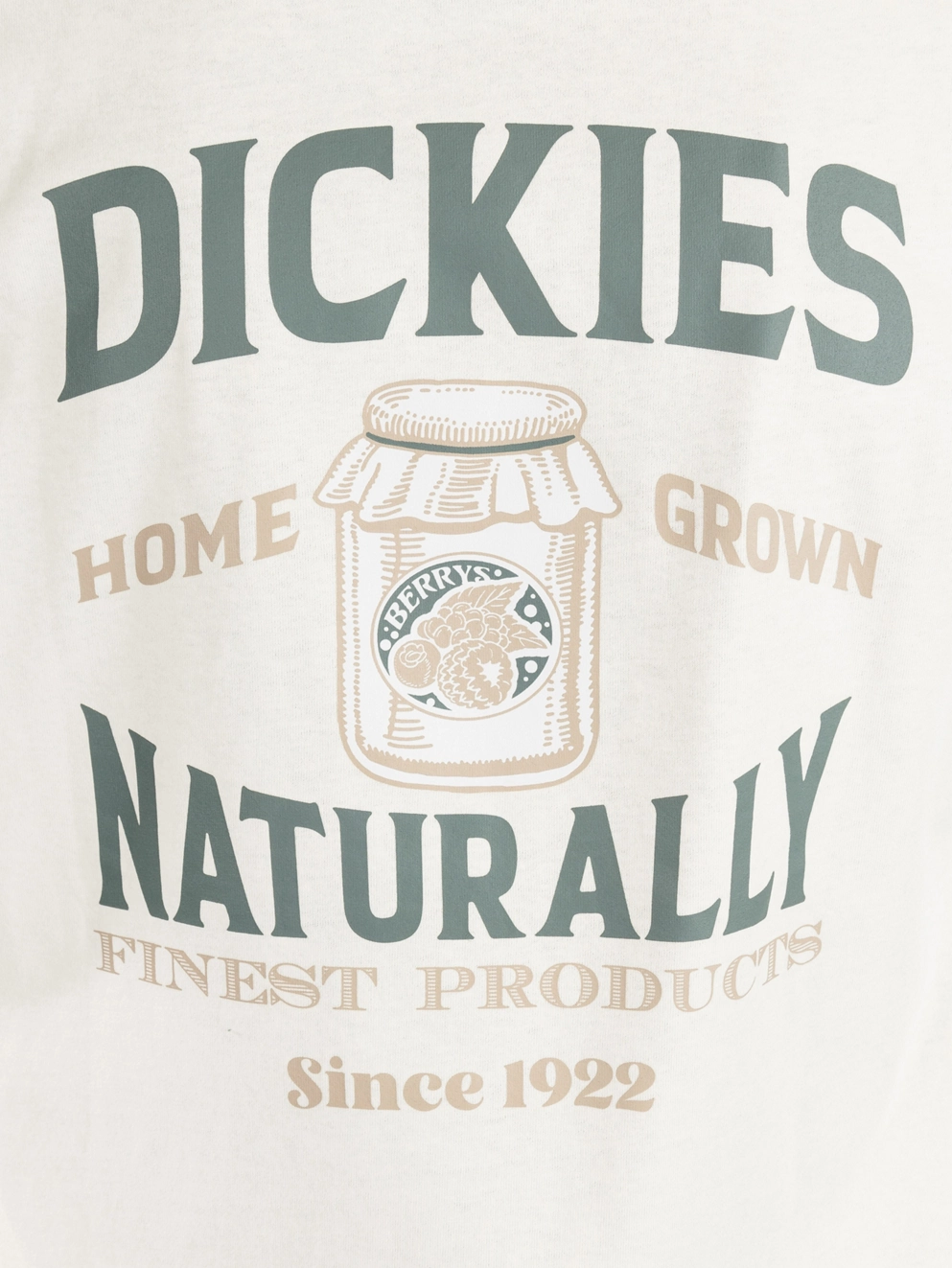 Dickies Elliston T-Shirt cloud