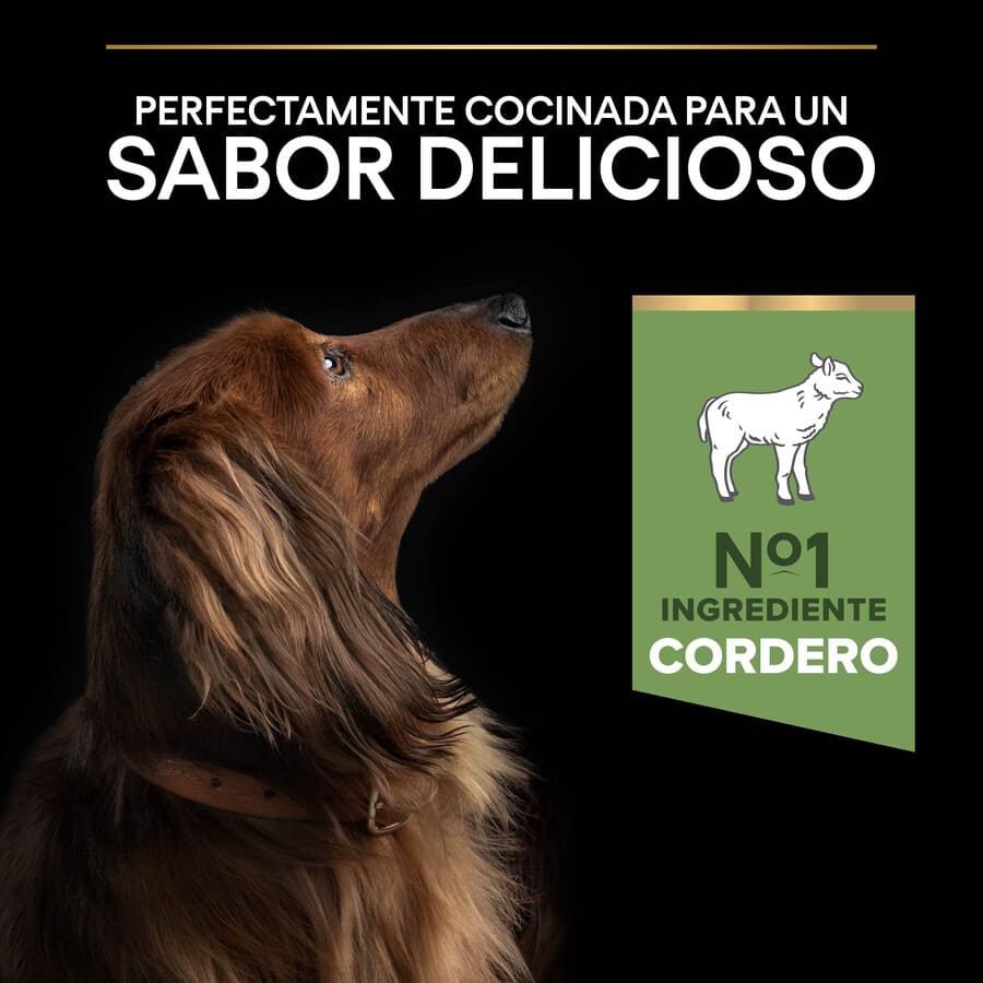 Pro Plan Adult Small and Mini Digestion Lamb Dog Food
