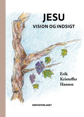 Jesu Vision Og Indsigt - Erik Kristoffer Hansen - Bog