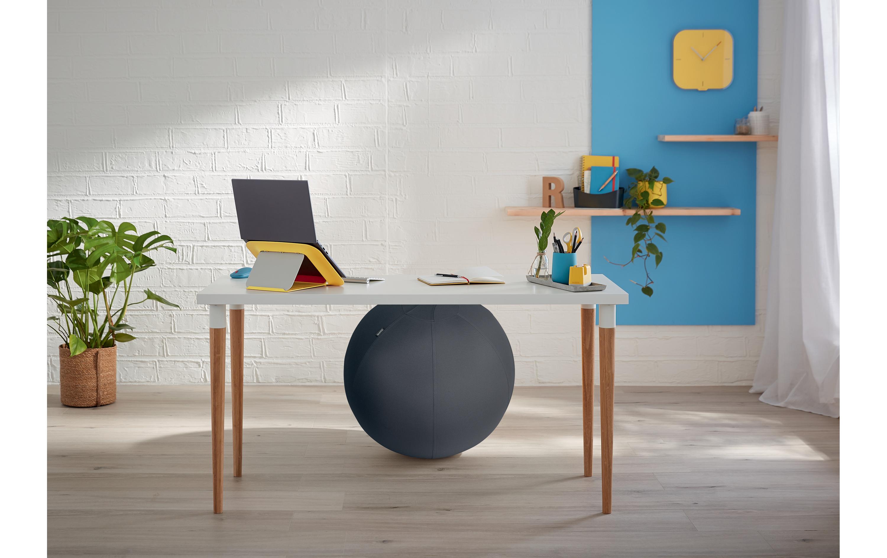 Sitzball Ergo Cosy Active GrauDer ergonomische Leitz Ergo Cosy Sitzball für aktives Sitzen
