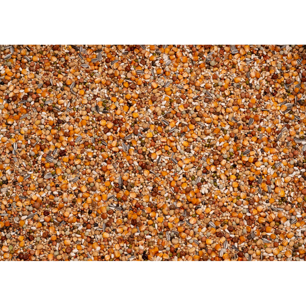 Beyers Premium Super Rui 20 kg