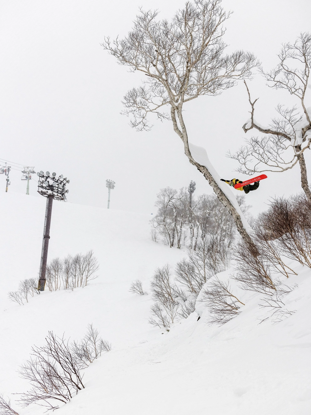 CAPiTA Aeronaut 2025 Snowboard multi