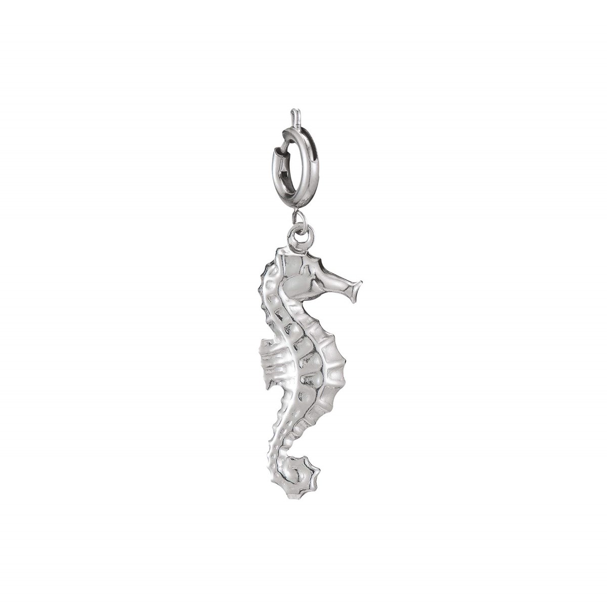 Charm acier Hypocampe